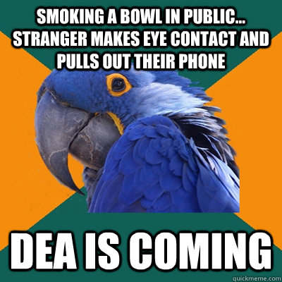smoking a bowl in public... Stranger makes eye contact and pulls out their phone dea is coming  Paranoid Parrot