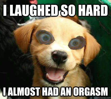 I laughed so hard I almost had an orgasm  Pervy Meme