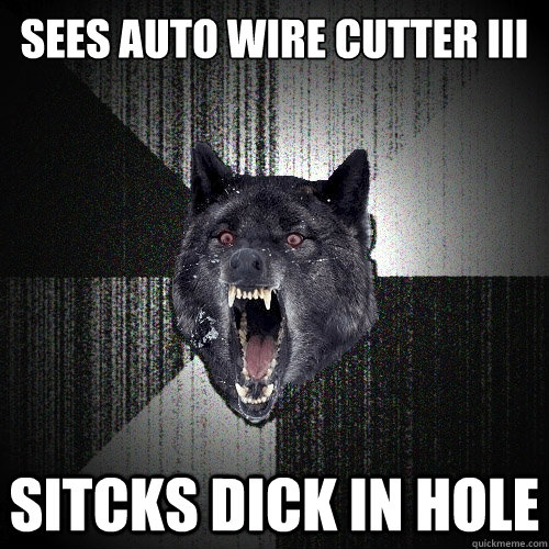 SEES AUTO WIRE CUTTER III SITCKS DICK IN HOLE  Insanity Wolf