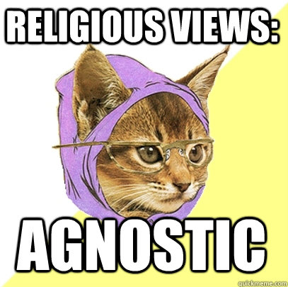 Religious views: agnostic  Hipster Kitty