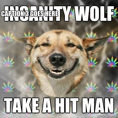 Insanity Wolf Take a hit man  Caption 3 goes here  Stoner Dog