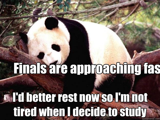 Finals are approaching fast I'd better rest now so I'm not tired when I decide to study - Finals are approaching fast I'd better rest now so I'm not tired when I decide to study  Procrastination Panda
