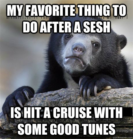 my favorite thing to do after a sesh is hit a cruise with some good tunes - my favorite thing to do after a sesh is hit a cruise with some good tunes  Confession Bear