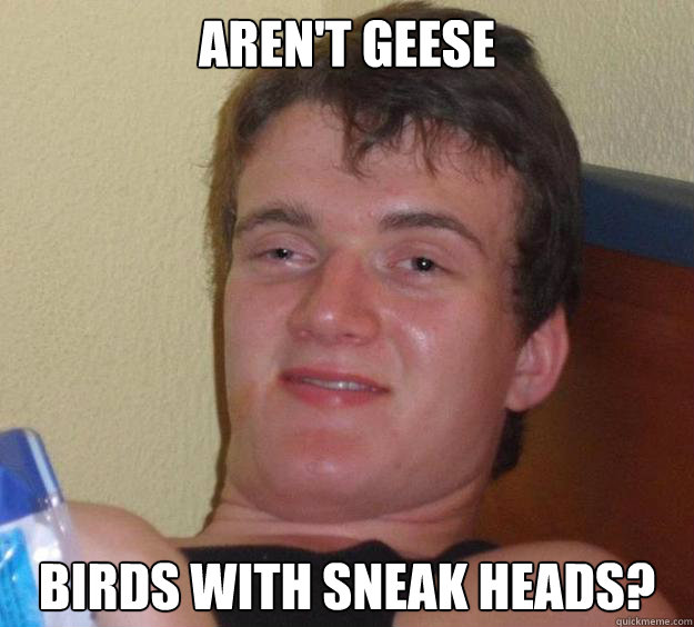 Aren't geese birds with sneak heads?  10 Guy