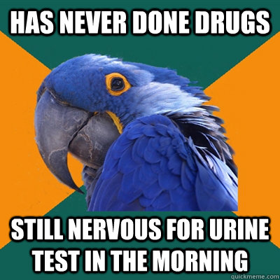 Has never done drugs Still nervous for urine test in the morning  Paranoid Parrot