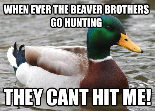 When ever the beaver brothers go hunting  they cant hit me!  Actual Advice Mallard