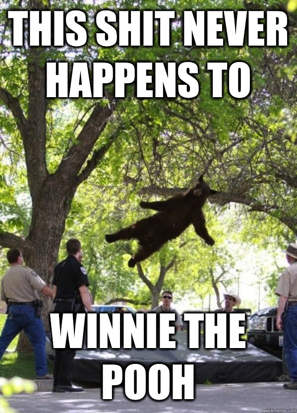 This shit never happens to Winnie the Pooh  i am a falling bear