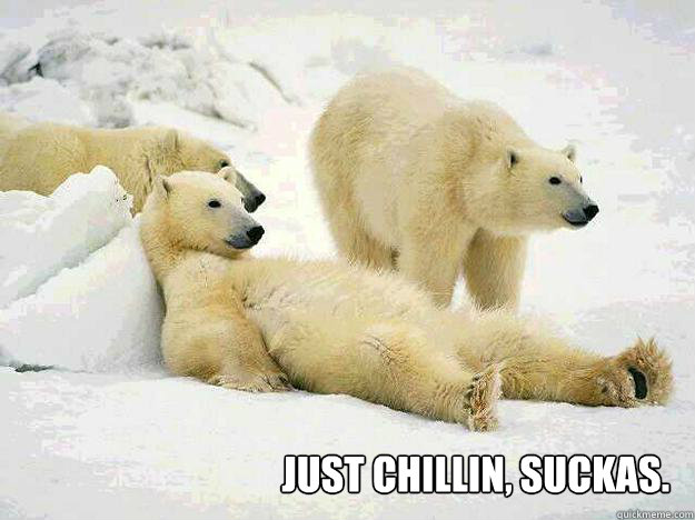 Just chillin, suckas. - Just chillin, suckas.  BI POLAR BEAR