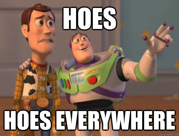 Hoes Hoes Everywhere - Hoes Hoes Everywhere  Buzz Lightyear