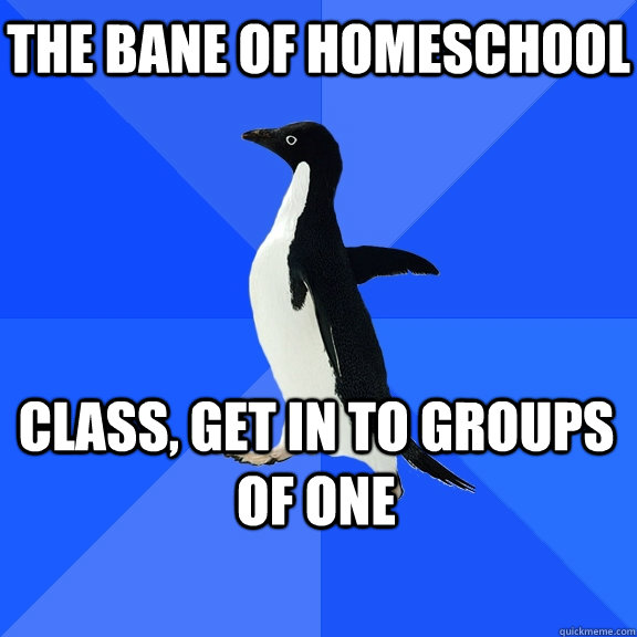 The bane of homeschool class, get in to groups of one    Socially Awkward Penguin