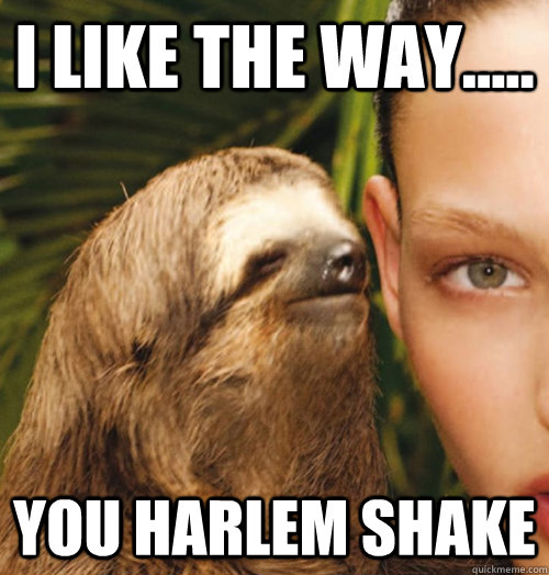 i like the way..... you harlem shake  Whispering Sloth