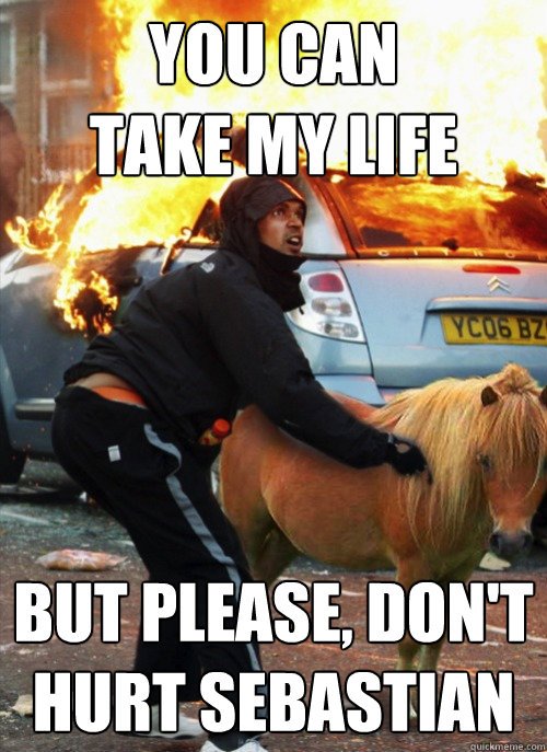 you can 
take my life but please, don't hurt sebastian - you can 
take my life but please, don't hurt sebastian  Misc