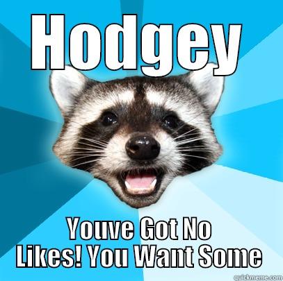 HODGEY YOUVE GOT NO LIKES! YOU WANT SOME Lame Pun Coon