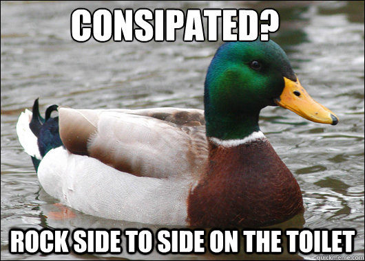 Consipated? Rock side to side on the toilet - Consipated? Rock side to side on the toilet  Actual Advice Mallard
