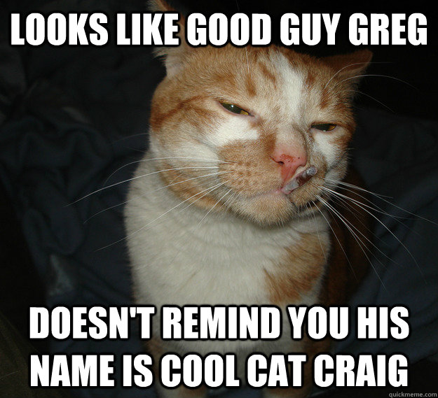 Looks like Good Guy Greg Doesn't remind you his name is Cool Cat Craig - Looks like Good Guy Greg Doesn't remind you his name is Cool Cat Craig  Good Guy Cat