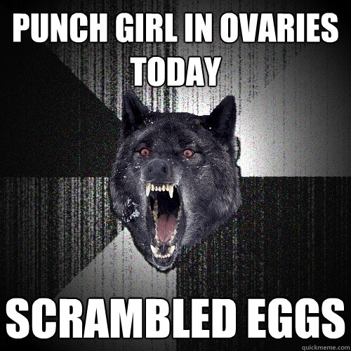 Punch girl in ovaries today  scrambled eggs  Insanity Wolf