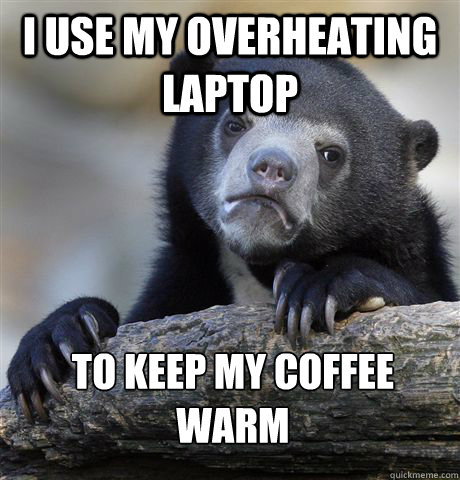 I use my overheating laptop to keep my coffee warm  Confession Bear