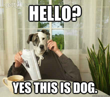 Hello? Yes this is dog. - Hello? Yes this is dog.  Sunday Morning Dog