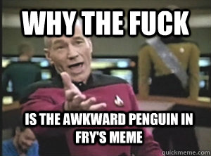 Why the fuck Is the awkward penguin in fry's meme  Annoyed Picard