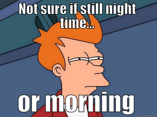 NOT SURE IF STILL NIGHT TIME... OR MORNING Futurama Fry