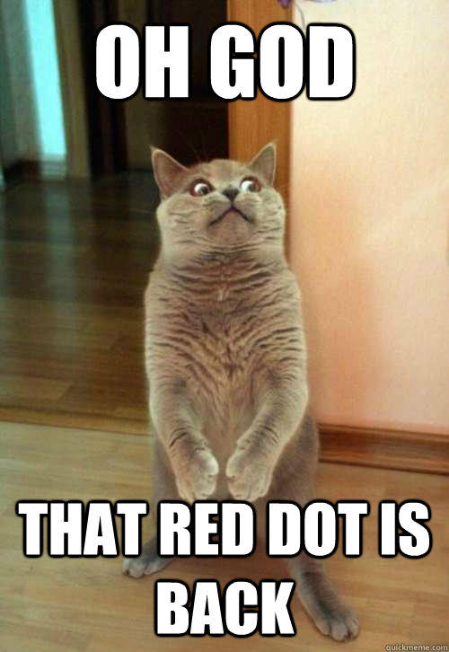 Oh god that red dot is back - Oh god that red dot is back  Horrorcat