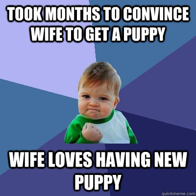 Took months to convince wife to get a puppy  Wife loves having new puppy  Success Kid