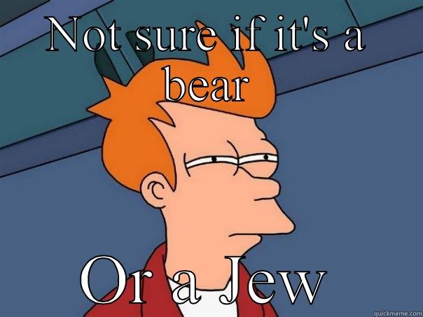 NOT SURE IF IT'S A BEAR OR A JEW Futurama Fry