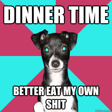 dinner time better eat my own shit  Dickhead Dog