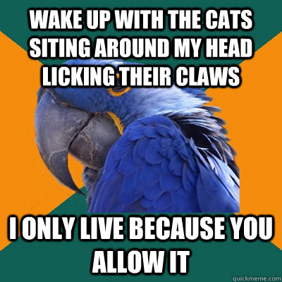 wake up with the cats siting around my head licking their claws i only live because you allow it  Paranoid Parrot