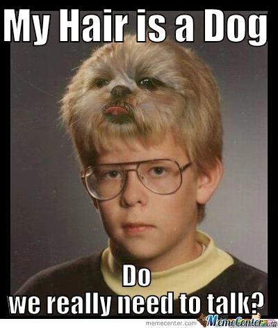 Dog hair - MY HAIR IS A DOG  DO WE REALLY NEED TO TALK? Misc