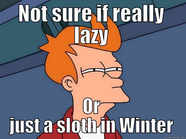 NOT SURE IF REALLY LAZY OR JUST A SLOTH IN WINTER Futurama Fry