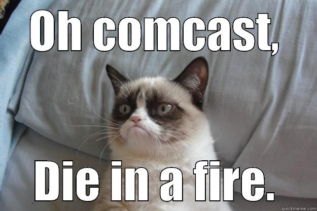 OH COMCAST, DIE IN A FIRE. Grumpy Cat