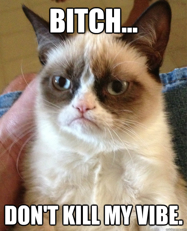 Bitch... Don't kill my vibe.  Grumpy Cat