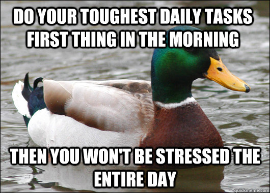 do your toughest daily tasks first thing in the morning then you won't be stressed the entire day  Actual Advice Mallard