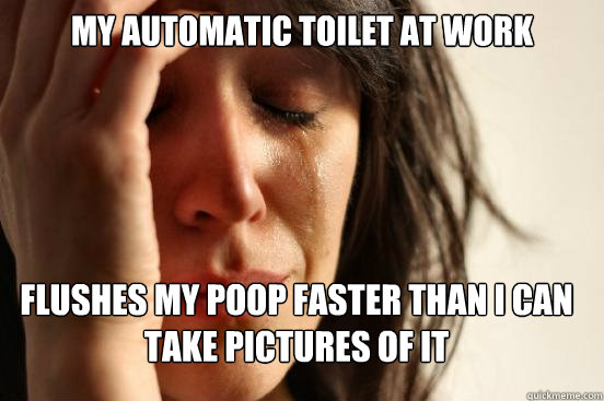 my automatic toilet at work flushes my poop faster than i can take pictures of it  FirstWorldProblems