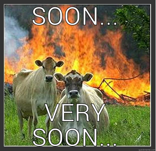 SOON... VERY SOON... Evil cows