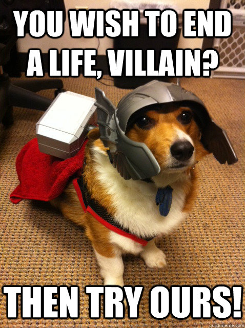 You wish to end a life, Villain? Then try ours! - You wish to end a life, Villain? Then try ours!  Thorgi Dog of Thunder