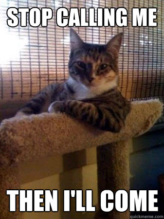 stop calling me then I'll come  The Most Interesting Cat in the World