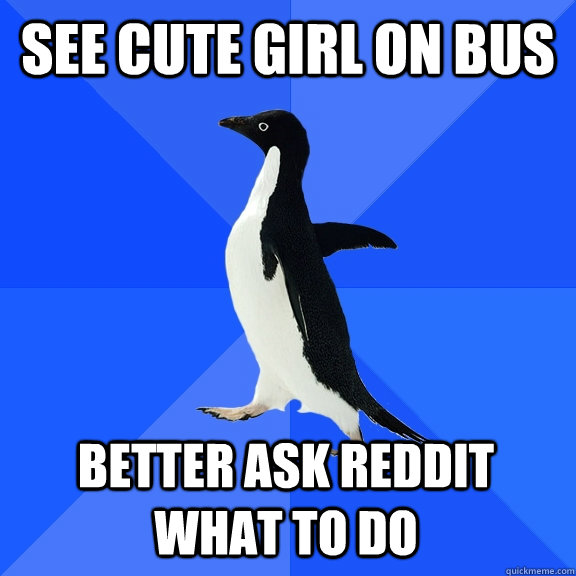 see cute girl on bus better ask reddit what to do  Caption 4 goes here  Socially Awkward Penguin