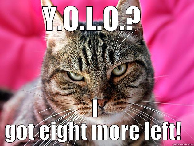 YOLO cat... - Y.O.L.O.?  I GOT EIGHT MORE LEFT!  Misc