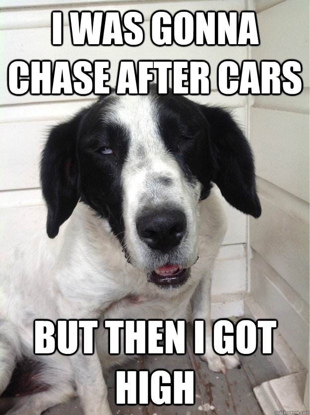 I was gonna chase after cars but then i got high - I was gonna chase after cars but then i got high  Misc