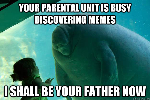 Your parental unit is busy discovering memes I shall be your father now  