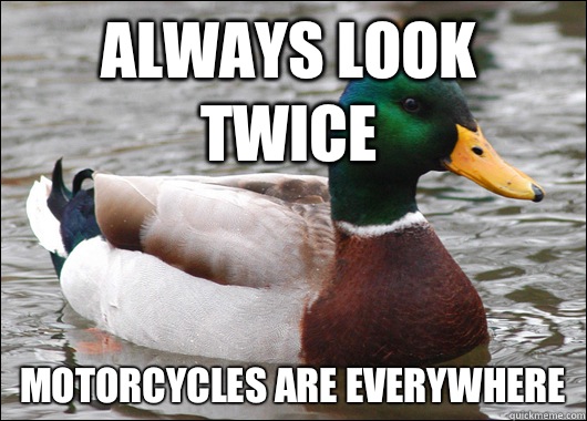 Always look twice Motorcycles are everywhere  Actual Advice Mallard