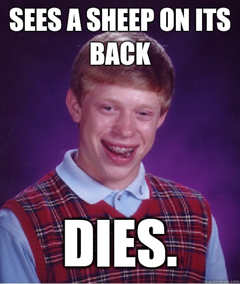 Sees a sheep on its back Dies. - Sees a sheep on its back Dies.  Bad Luck Brian