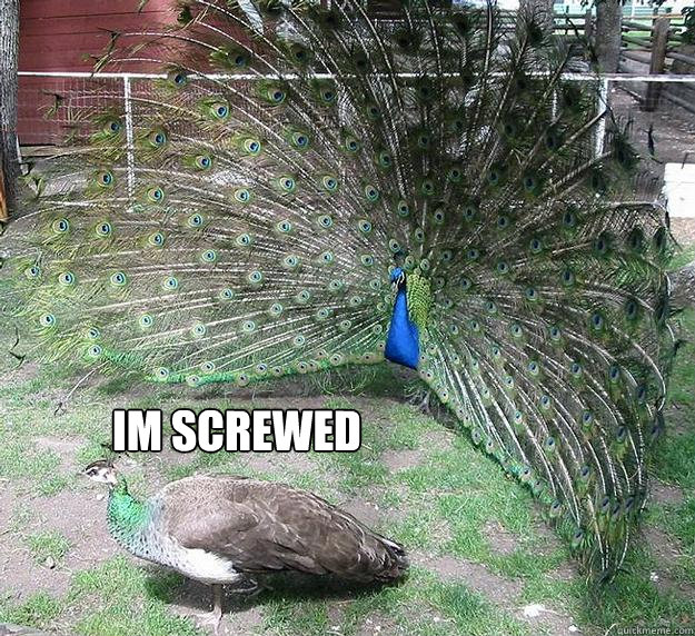Im screwed - Im screwed  Peacocks fail