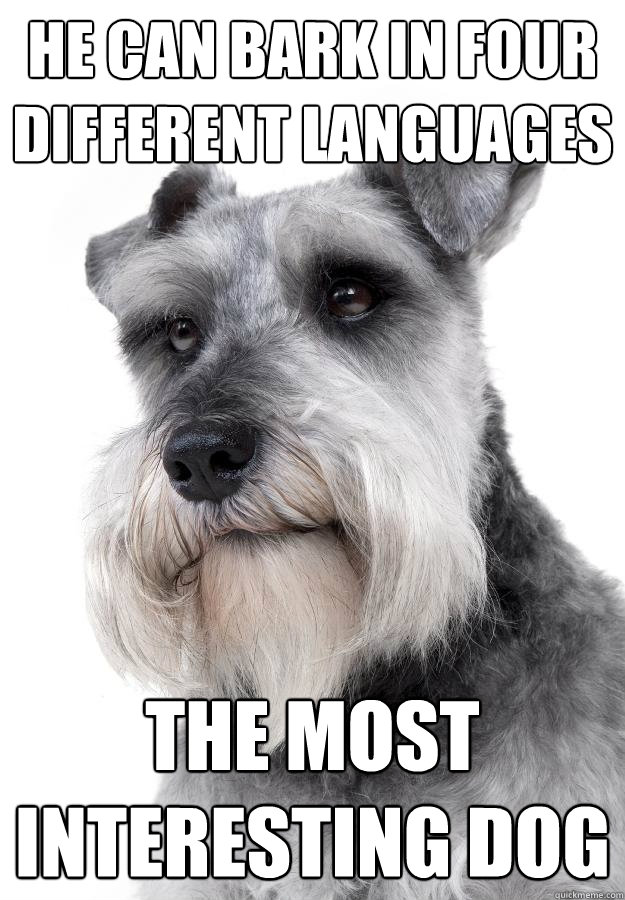 He can bark in four different languages The Most interesting Dog  The Most Interesting Dog in the World