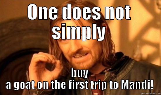 ONE DOES NOT SIMPLY BUY A GOAT ON THE FIRST TRIP TO MANDI! Boromir