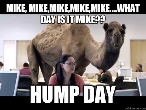 Mike, Mike,Mike,Mike,Mike....what day is it Mike?? Hump day - Mike, Mike,Mike,Mike,Mike....what day is it Mike?? Hump day  Hump Day Camel