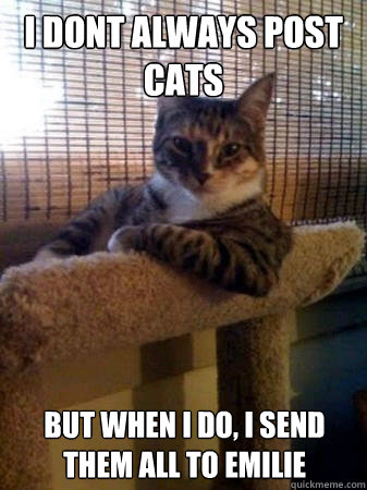 I dont always post cats but when I do, I send them all to emilie  The Most Interesting Cat in the World