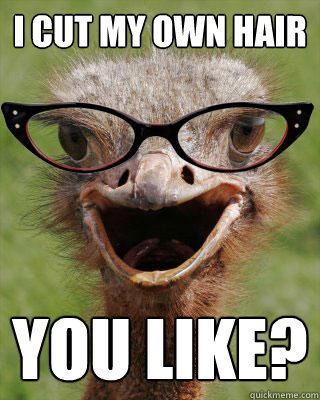 I cut my own hair You like? - I cut my own hair You like?  Judgmental Bookseller Ostrich
